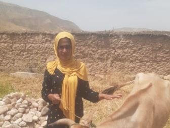 Photo of Maydagul