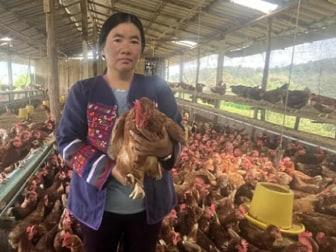 Photo of Hilltribe Organics Limited