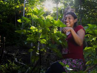 Photo of Cotton Nation