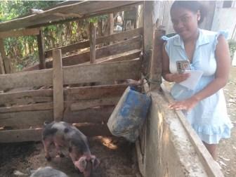 Photo of Brasqui Suleika