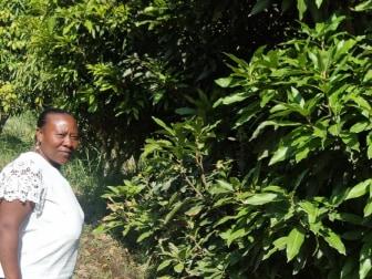 Photo of Doraida Marelly