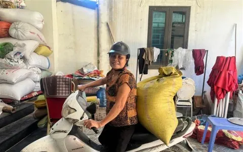 Liên