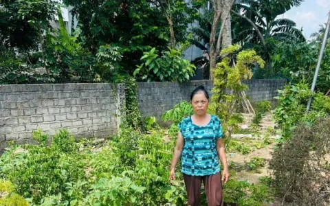 Hiền