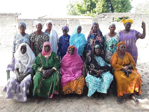 Maleme Niani 3 Group