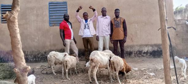 Nebnoma Elevage Group