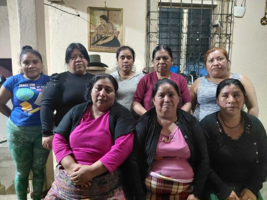 Violetas De San Francisco Group