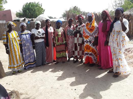 Maleme Niani 2 Group