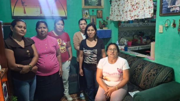 Flores Del Sur Group