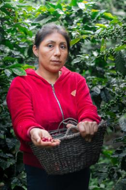 Cooperativa Laguna De Los Cóndores