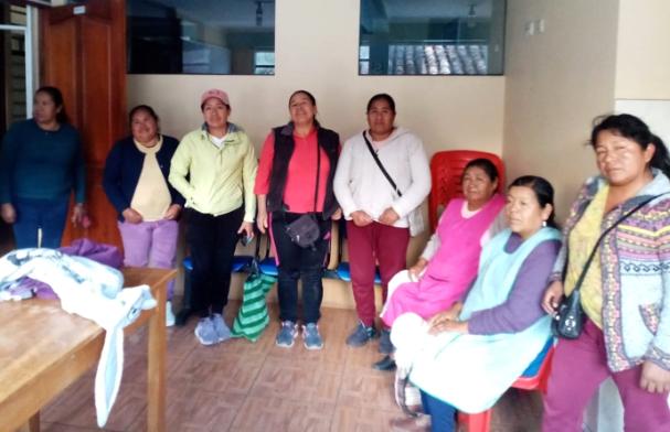 Pro Mujer De Huayocari Group