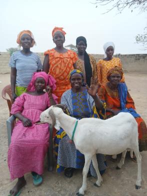 Diambougoum Bidji Group