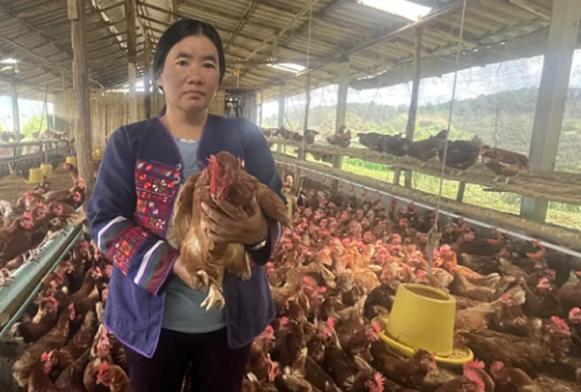 Hilltribe Organics Limited