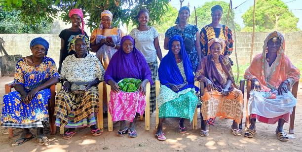 Tessito Diattacounda Group