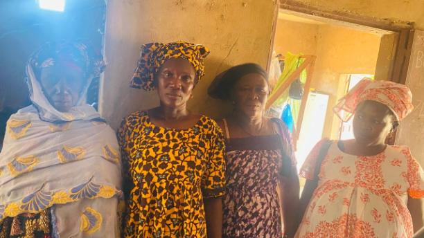 Gpf Fass Diom Labgar Group