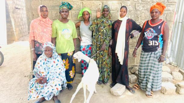 Book Jom Ndiankha Group