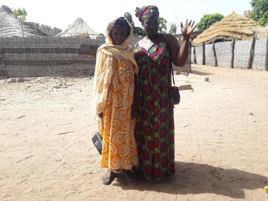 Sinthiou Maleme Dental Group