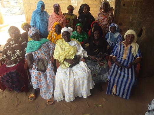 Diamaguene Nioro Group