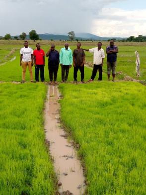 Hekima Madibira Group