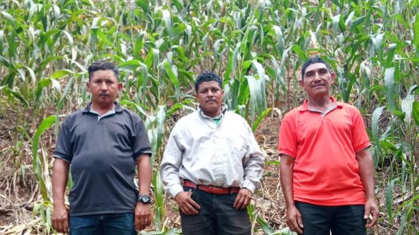 Getsemaní Las Piedras Group